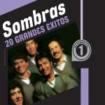 poster Chico Basilón 20 Grandes Exitos