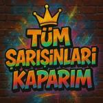 poster Tüm Şarışınları Kaparım Tüm Şarışınları Kaparım