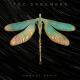 The Green Children - Dreamers (Embody Remix) | vk.c