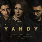 poster Yandy Yandy
