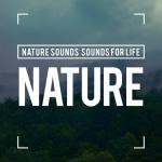 poster Hislerim Nature