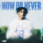 poster Now Or Never NOW OR NEVER