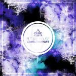 poster Don't Worry (Hustike Remix) Future House Conglomerate, Vol. 7